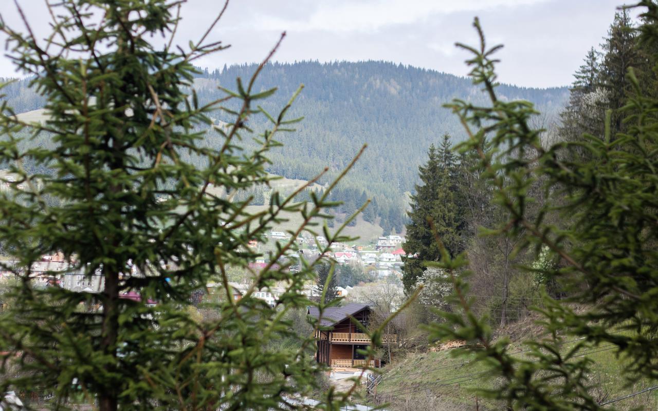 Karpatska Oselia Villa Verkhovijna Eksteriør bilde