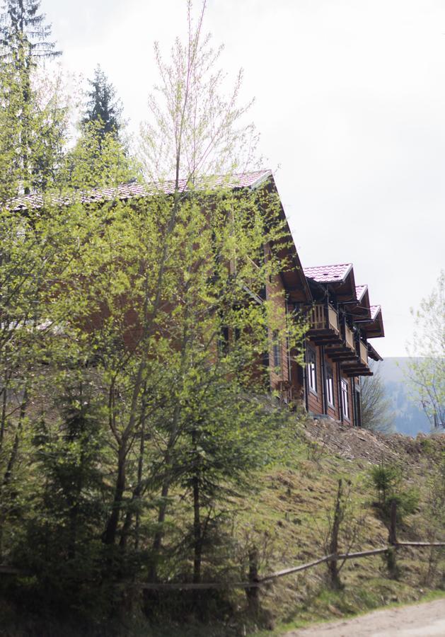 Karpatska Oselia Villa Verkhovijna Eksteriør bilde